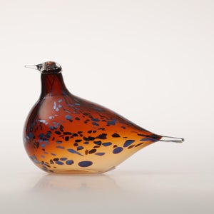 Birds Pekkasiini コッパーブラウン 0177