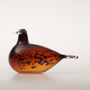 Birds Pekkasiini コッパーブラウン 0179