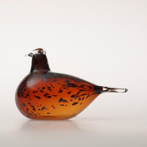 Birds Pekkasiini コッパーブラウン 0180