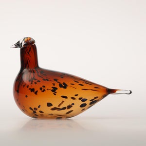 Birds Pekkasiini コッパーブラウン 0181