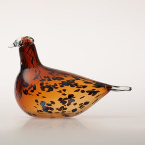 Birds Pekkasiini コッパーブラウン 0182