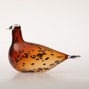 Birds Pekkasiini コッパーブラウン 0183