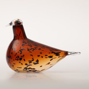 Birds Pekkasiini コッパーブラウン 0184