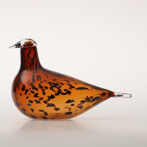 Birds Pekkasiini コッパーブラウン 0185