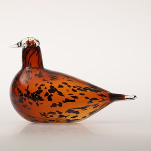 Birds Pekkasiini コッパーブラウン 0186