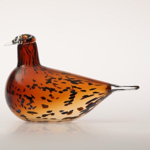 Birds Pekkasiini コッパーブラウン 0187