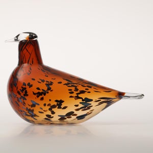 Birds Pekkasiini コッパーブラウン 0188