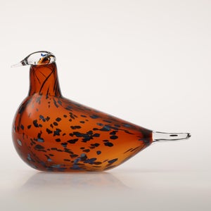 Birds Pekkasiini コッパーブラウン 0189