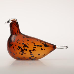 Birds Pekkasiini コッパーブラウン 0190