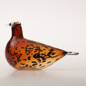 Birds Pekkasiini コッパーブラウン 0191