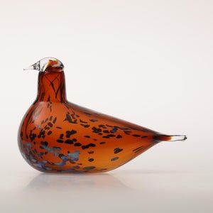 Birds Pekkasiini コッパーブラウン 0192