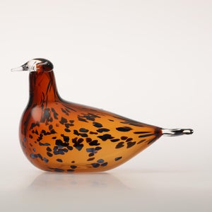 Birds Pekkasiini コッパーブラウン 0194