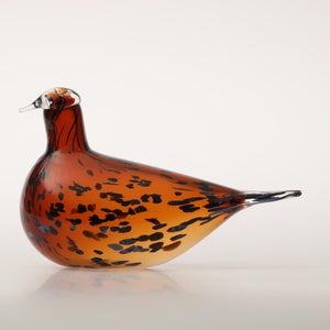 Birds Pekkasiini コッパーブラウン 0195