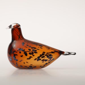 Birds Pekkasiini コッパーブラウン 0197