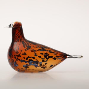 Birds Pekkasiini コッパーブラウン 0198