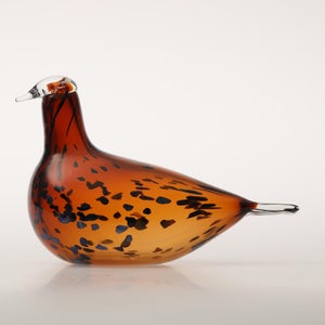 Birds Pekkasiini コッパーブラウン 0199