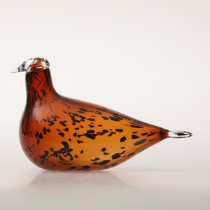 Birds Pekkasiini コッパーブラウン 0200