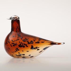 Birds Pekkasiini コッパーブラウン 0201