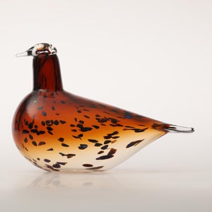 Birds Pekkasiini コッパーブラウン 0202