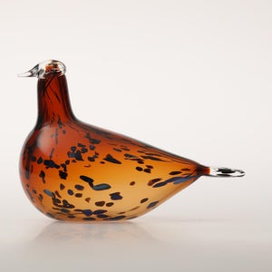 Birds Pekkasiini コッパーブラウン 0203