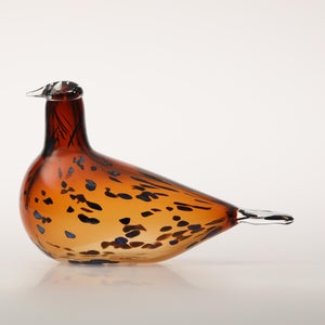 Birds Pekkasiini コッパーブラウン 0205