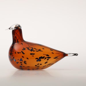 Birds Pekkasiini コッパーブラウン 0210