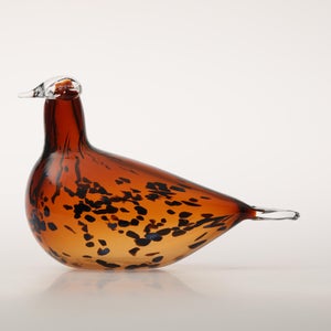 Birds Pekkasiini コッパーブラウン 0211