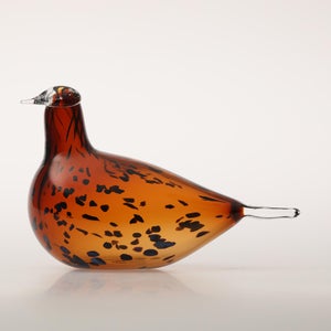 Birds Pekkasiini コッパーブラウン 0212