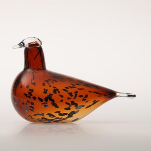 Birds Pekkasiini コッパーブラウン 0213