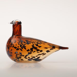 Birds Pekkasiini コッパーブラウン 0214