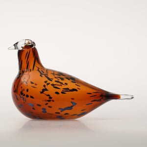 Birds Pekkasiini コッパーブラウン 0215