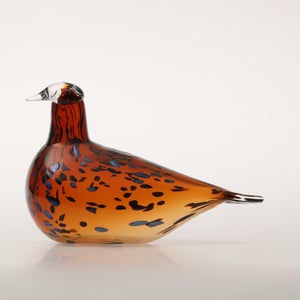 Birds Pekkasiini コッパーブラウン 0216