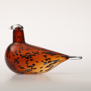 Birds Pekkasiini コッパーブラウン 0218