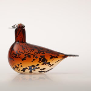 Birds Pekkasiini コッパーブラウン 0220