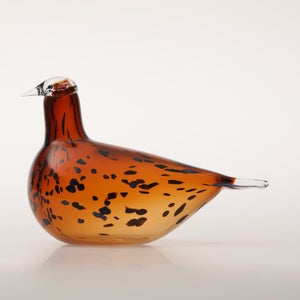 Birds Pekkasiini コッパーブラウン 0223