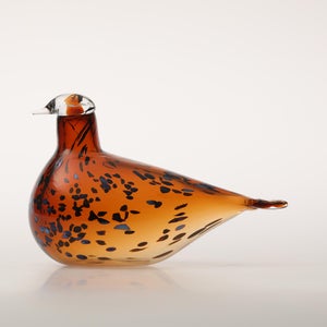 Birds Pekkasiini コッパーブラウン 0224