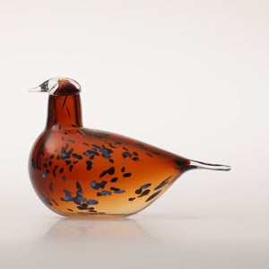 Birds Pekkasiini コッパーブラウン 0225