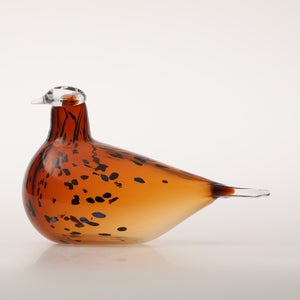 Birds Pekkasiini コッパーブラウン 0226