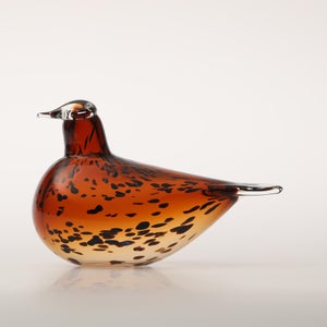 Birds Pekkasiini コッパーブラウン 0227