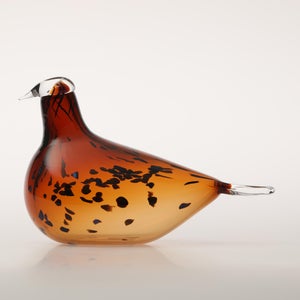 Birds Pekkasiini コッパーブラウン 0228