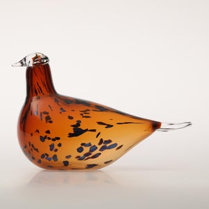 Birds Pekkasiini コッパーブラウン 0230