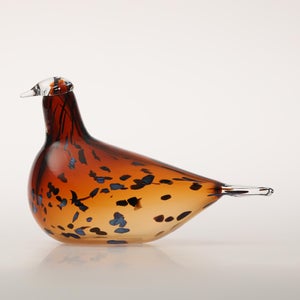 Birds Pekkasiini コッパーブラウン 0231