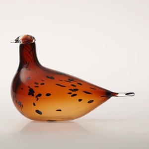 Birds Pekkasiini コッパーブラウン 0234