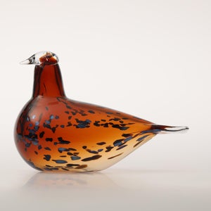 Birds Pekkasiini コッパーブラウン 0236