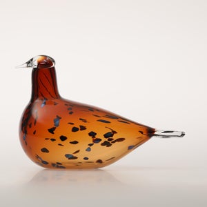 Birds Pekkasiini コッパーブラウン 0238