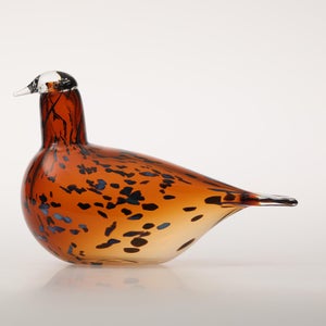 Birds Pekkasiini コッパーブラウン 0241