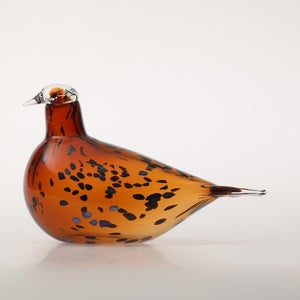 Birds Pekkasiini コッパーブラウン 0242