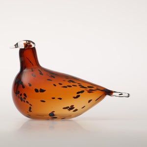 Birds Pekkasiini コッパーブラウン 0244