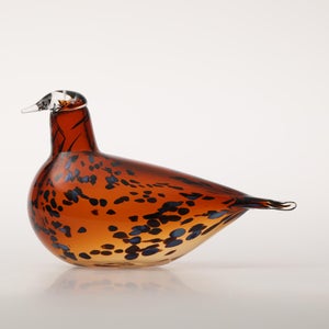 Birds Pekkasiini コッパーブラウン 0245