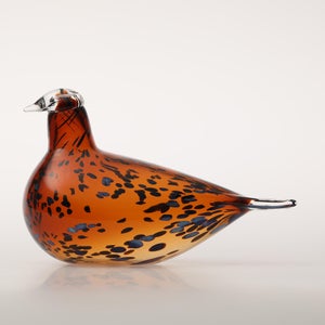 Birds Pekkasiini コッパーブラウン 0248